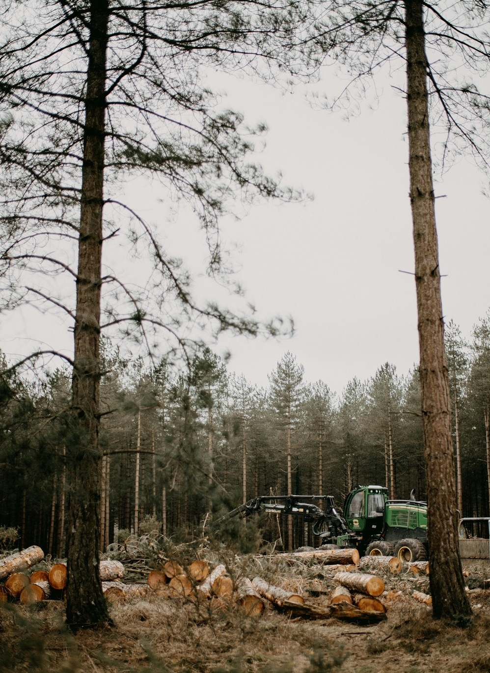 Exploitation forestière raisonnée en Creuse – LA SCIME